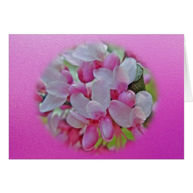 Redbud för Blommar i Träd Hälsningskort (Framsidan Horizontal)
