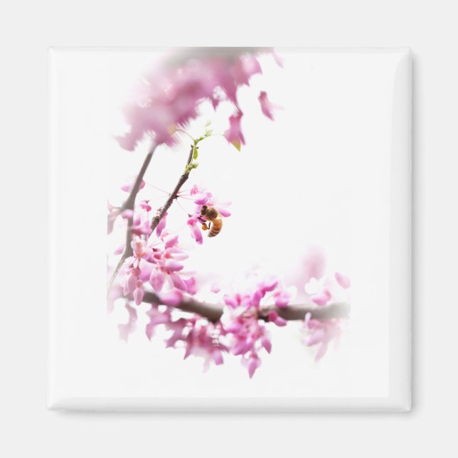 Redbud & honeybee-8742 magnet (Framsidan)