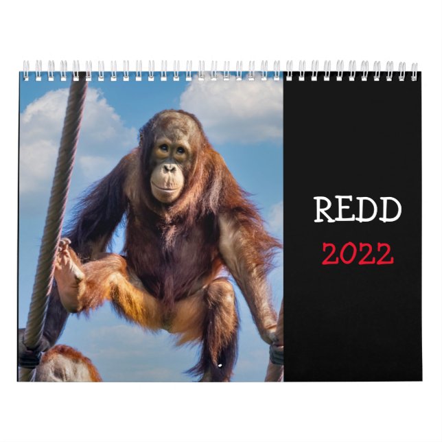 Redd 2022-kalender kalender (Omslag)