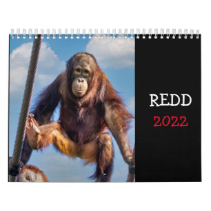 Redd 2022-kalender kalender