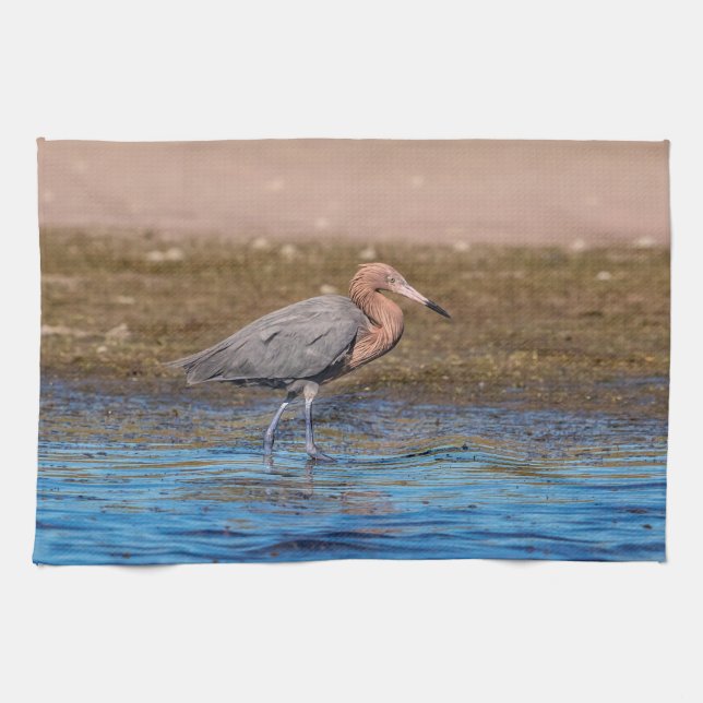 Reddiska Egret på North Beach Kökshandduk (Horisontell)