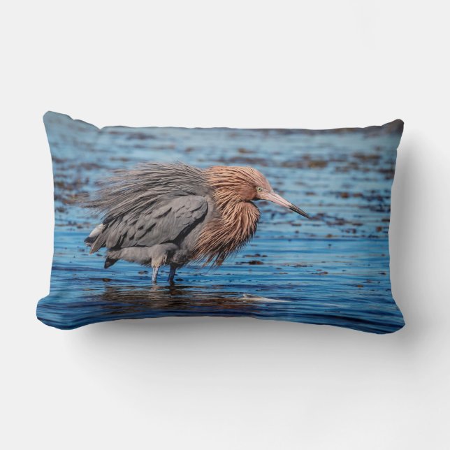 Reddiska Egret på North Beach Lumbarkudde (Framsida)