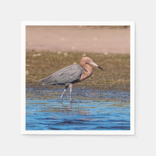 Reddiska Egret på North Beach Pappersservett (Framsidan)