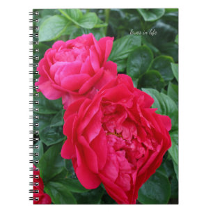 Reddiska Rosa Peony Anteckningsbok