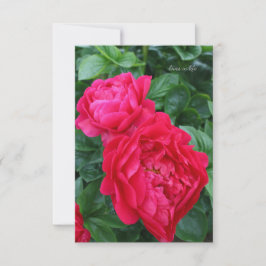 Reddiska Rosa Peony Anteckningskort