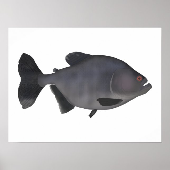 Redeye Piranha Poster (Framsidan)