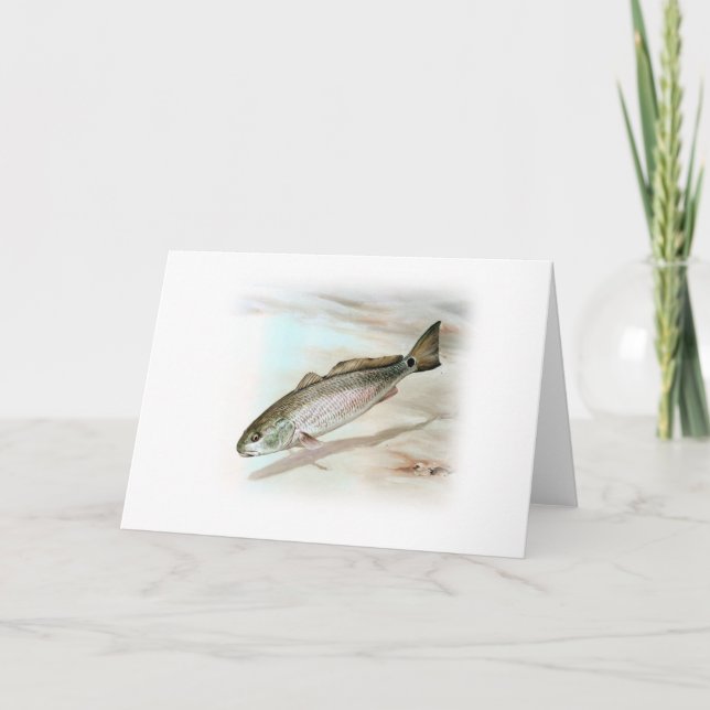 Redfish Art Kort (Framsida)