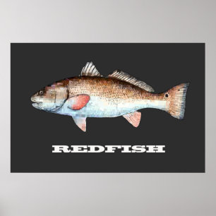 Redfishaffisch Poster