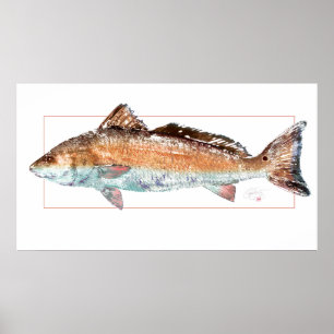 Redfishaffisch Poster