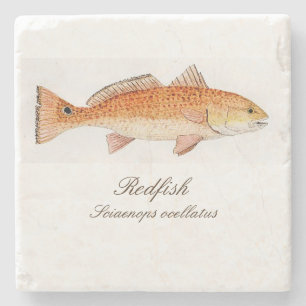 Redfishkustfartyg Underlägg Sten