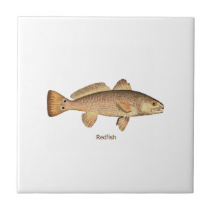 Redfishlogotyp Kakelplatta