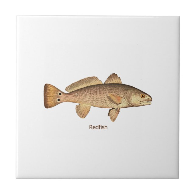 Redfishlogotyp Kakelplatta (Framsidan)