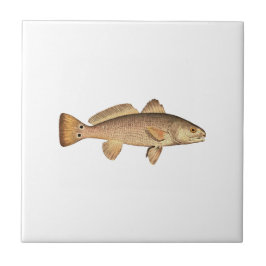 Redfishlogotyp Kakelplatta