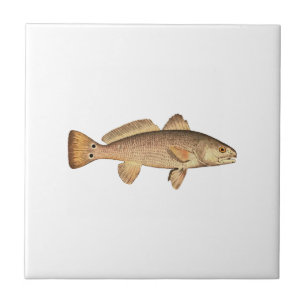 Redfishlogotyp Kakelplatta