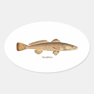 Redfishlogotyp Ovalt Klistermärke
