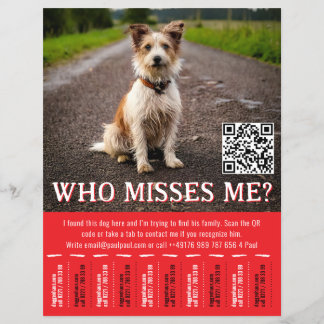 Redigerbar Affisch För Hitta Hund Med QR-Kod & Avr Reklamblad