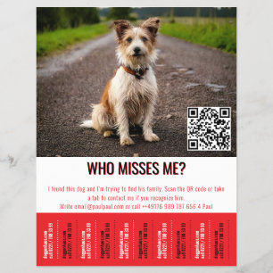 Redigerbar Affisch För Hitta Hund Med QR-Kod & Riv Reklamblad