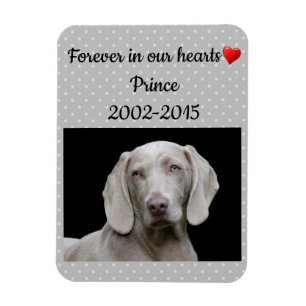 Redigerbar Grått för i våra Heards Pet Memorial Magnet