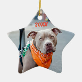Redigerbar hund med bandanaen julgransprydnad keramik
