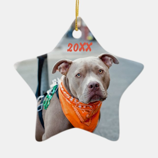 Redigerbar hund med bandanaen julgransprydnad keramik (Framsidan)