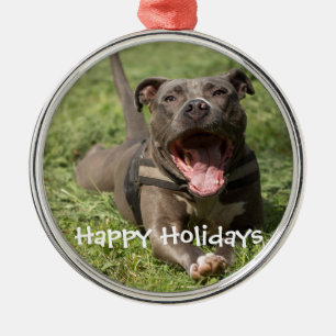 Redigerbara bruna Pitbull i gräs Julgransprydnad Metall