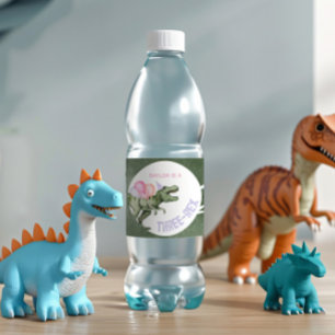 Redigerbara etiketter på Vattenflaskan Dinosaur fö