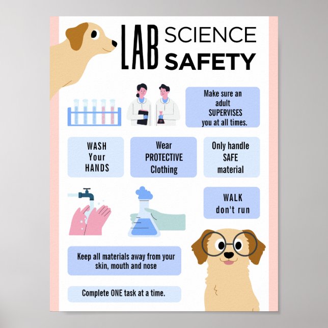RedigerbarScience LAB Säkerhet skola klassrum plak Poster (Framsidan)