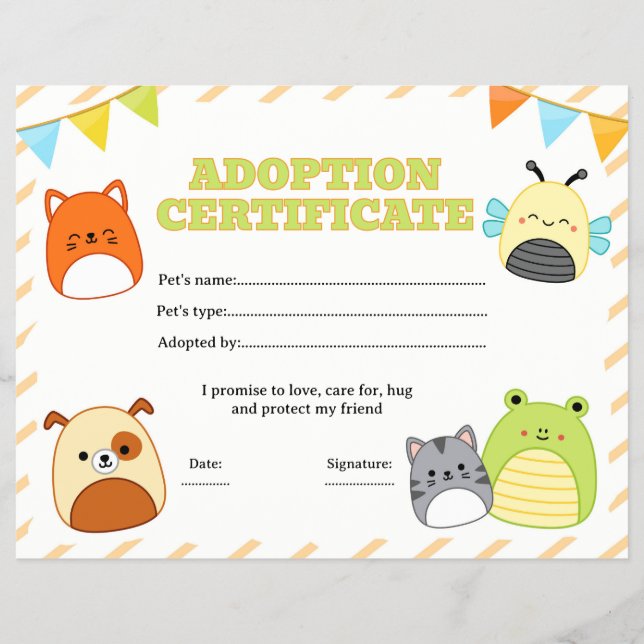 redigerbart intyg för adoption av squishmallow reklamblad (Framsidan)