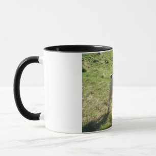 Redigerbart mugg med foto och text
