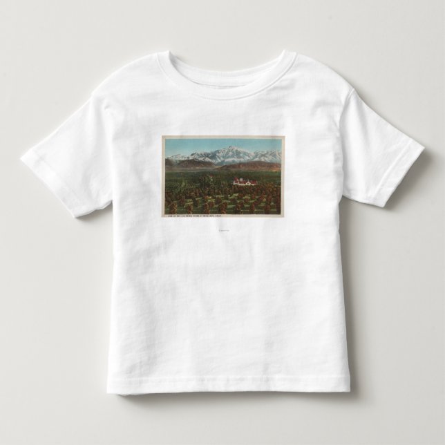 Redlands CA - berg & fruktträdgårdplats Tee Shirt (Framsida)