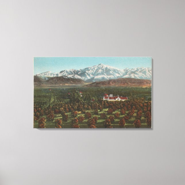 Redlands, CA - Mountain & Orchard Scene Canvastryck (Framsida)