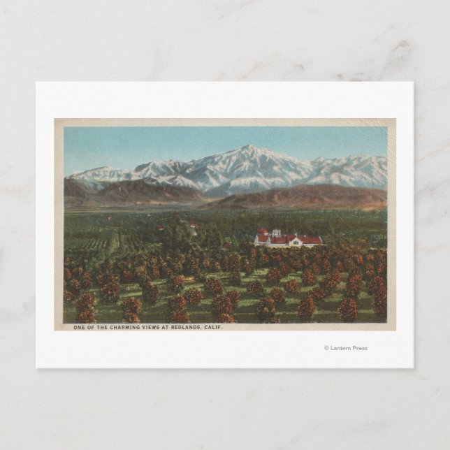 Redlands, CA - Mountain & Orchard Scene Vykort (Framsida)