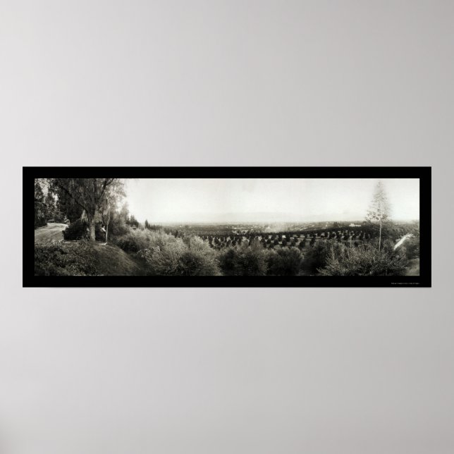 Redlands California Photo 1907 Poster (Framsidan)