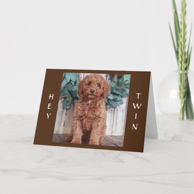 REDO ATT FESTA MIN TVILLINGS FÖDELSEDAG KORT (Framsida)