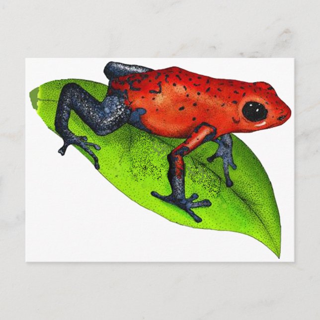 REDO ATT HOPPA VYKORT (Framsida)