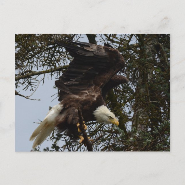 Redo för flyg vykort (Framsida)