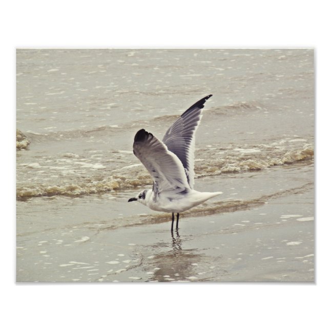 Redo för flygfotofoto fototryck (Framsidan)