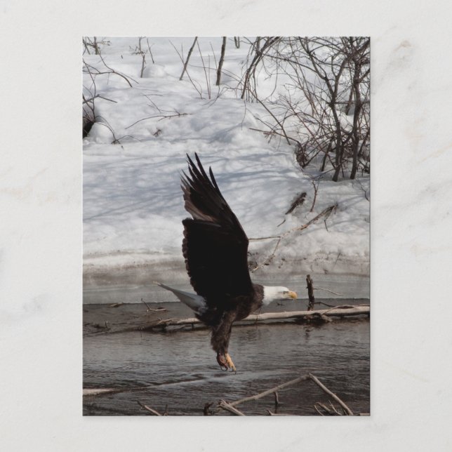 Redo för Liftoff Vykort (Framsida)