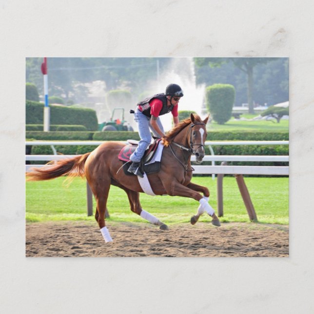 Redo för Saratoga 150 Vykort (Framsida)