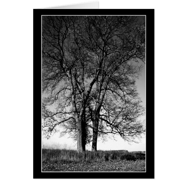 Redo för vinter hälsningskort (Framsidan)