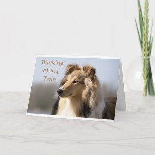 REDO PÅ ATT HÖRA ATT MIN TVILLING HAR "BÄSTA FÖDEL KORT