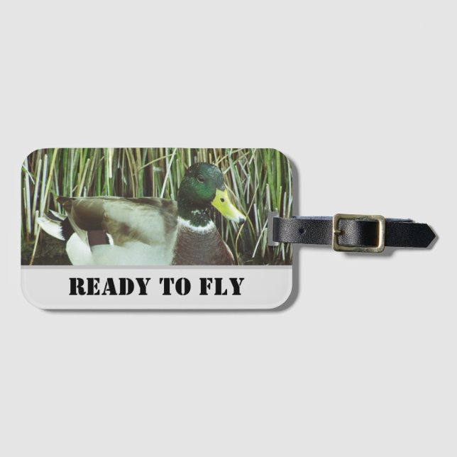 Redo till Fly Mallard Anka Photo Male Bird Bagagebricka (Framsida horisontal)