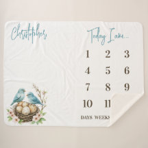 Redo till Hatch! Cute Birds Baby milstone