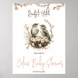 Redo till Hatch! Välkommen till Cute Birds Baby Sh Poster