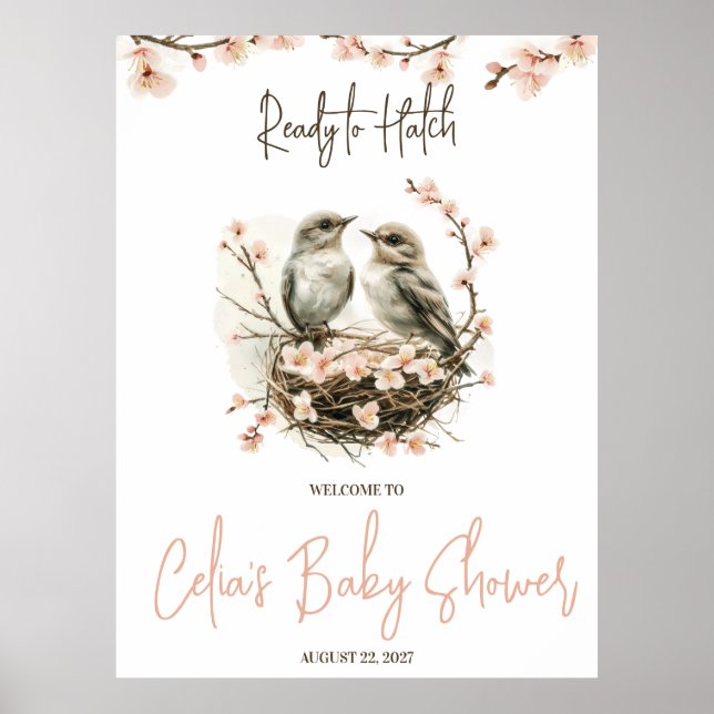 Redo till Hatch! Välkommen till Cute Birds Baby Sh Poster (Framsidan)