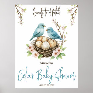 Redo till Hatch! Välkommen till Cute Birds Baby Sh Poster