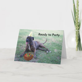 Redo till Party med födelsedagskalender Hund och B Kort