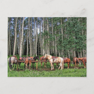 Redo till rid vykort