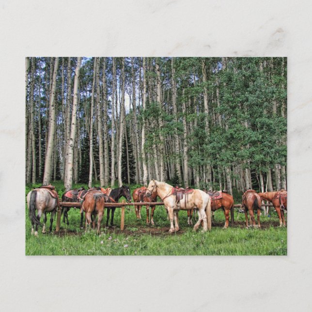 Redo till rid vykort (Framsida)