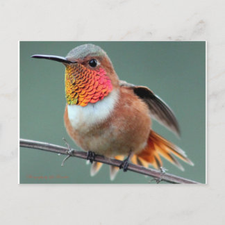 Redo till start vykort